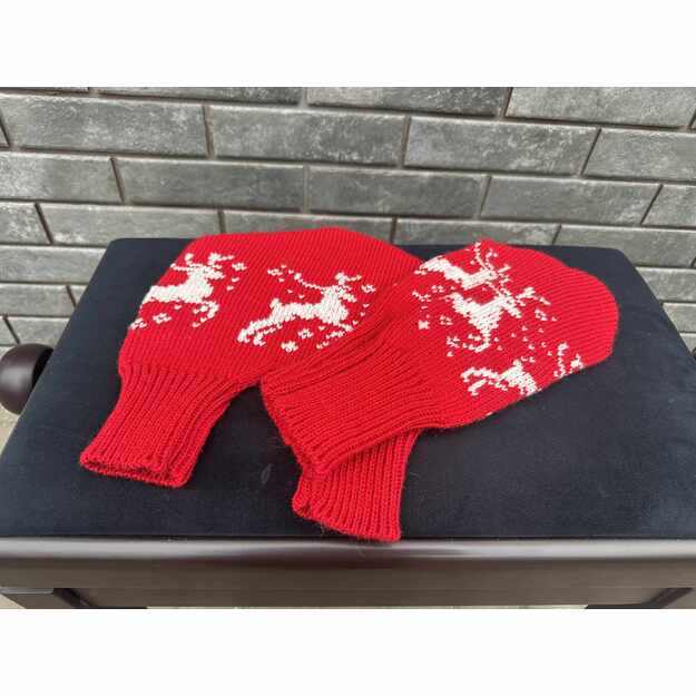 Set - gloves FOR HIM and HER - ŠVENTINIAI BRIEDŽIUKAI 2